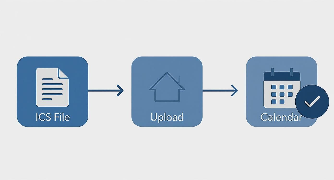 Infographic showing the process flow of importing an ICS file into a calendar.