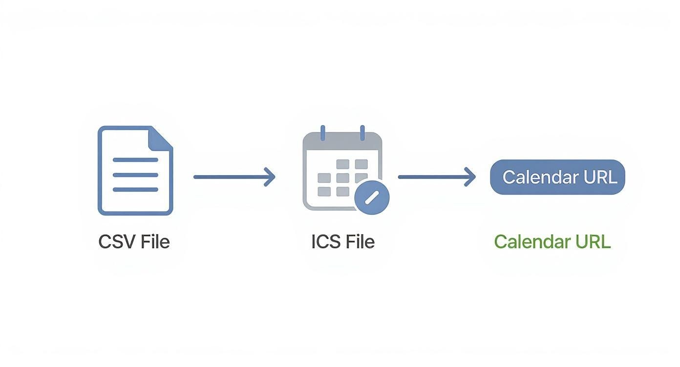 Infographic about import in google calendar